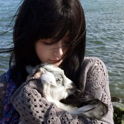 海岸盛夏 海报