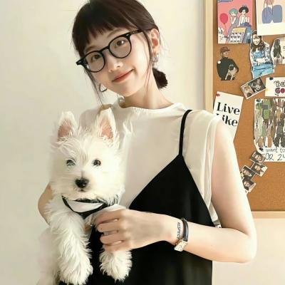 奈良启程 海报